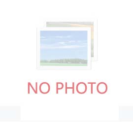 双球体橡胶接头的产品优势和劣势